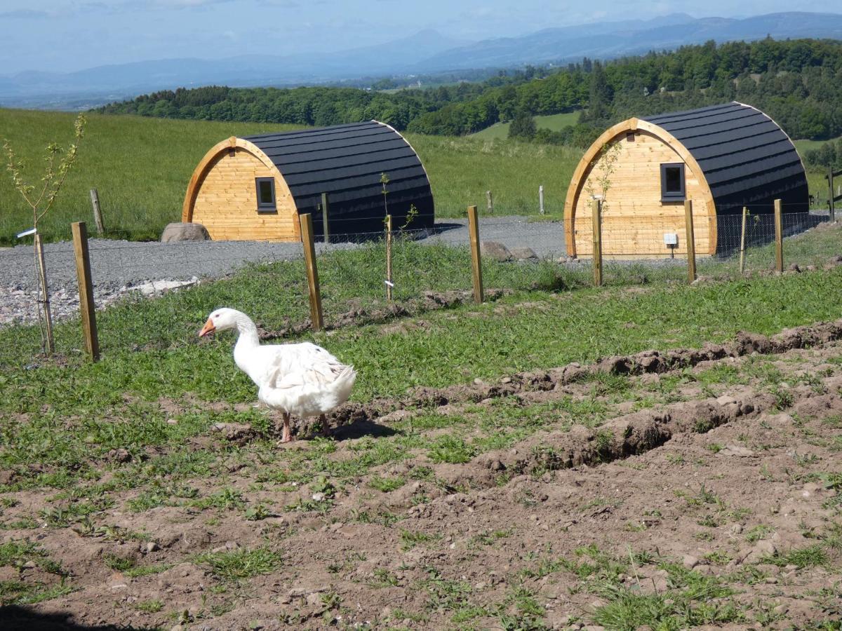 Hotel The Arns Glamping Pods Bridge of Allan Exterior foto